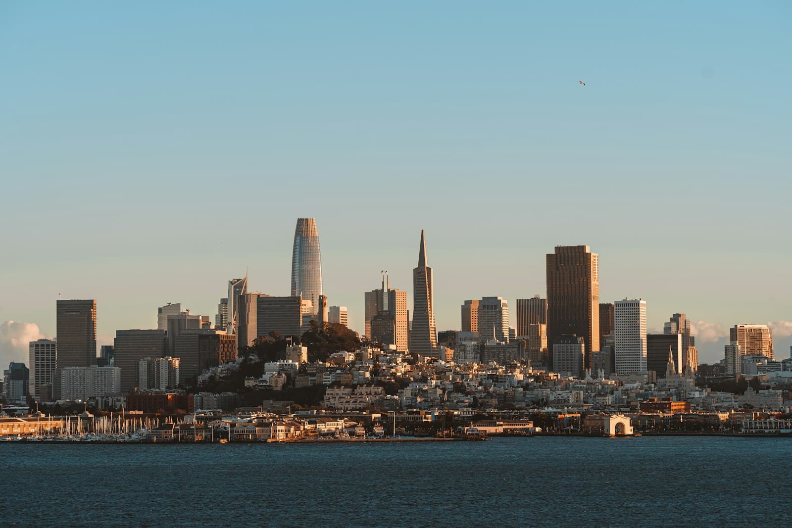 San Francisco — a city skyline with a body of water in the foreground