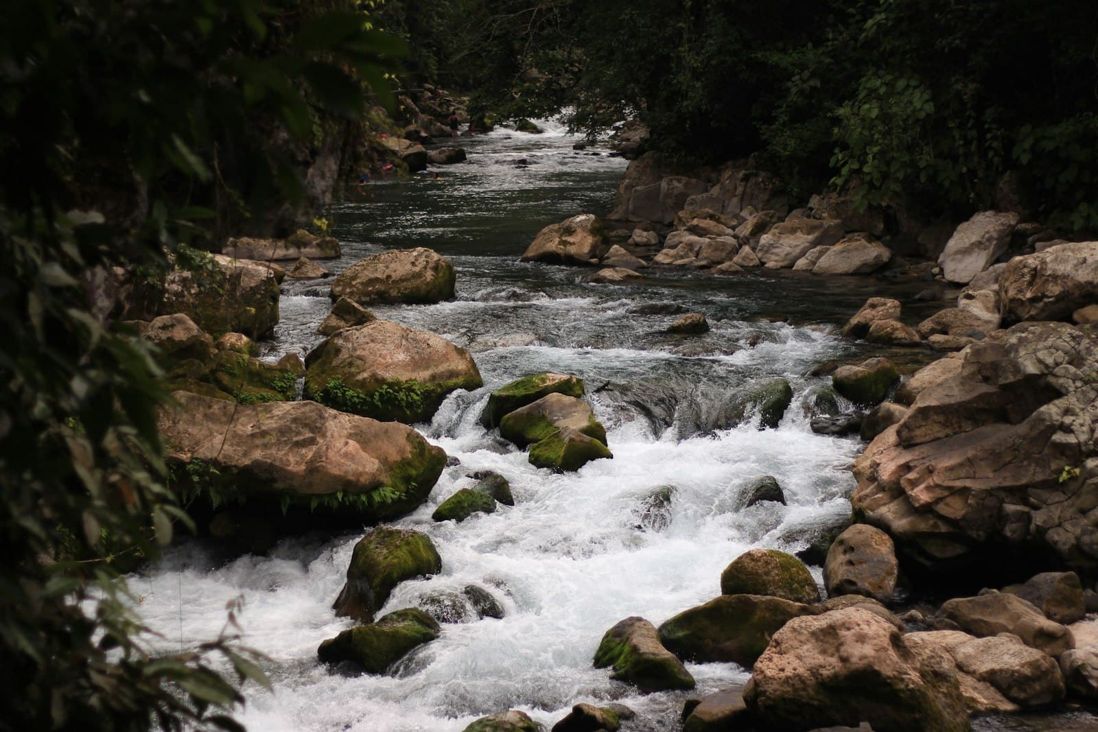San Luis Potosí — river in the middle of rocks and trees
