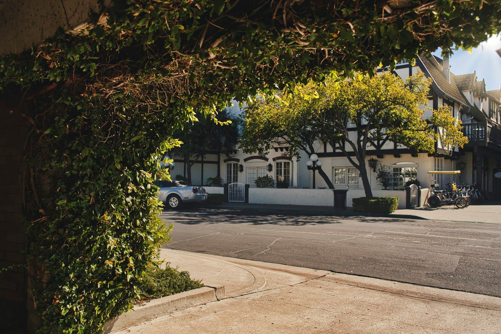 Santa Barbara — black suv parked near green tree during daytime