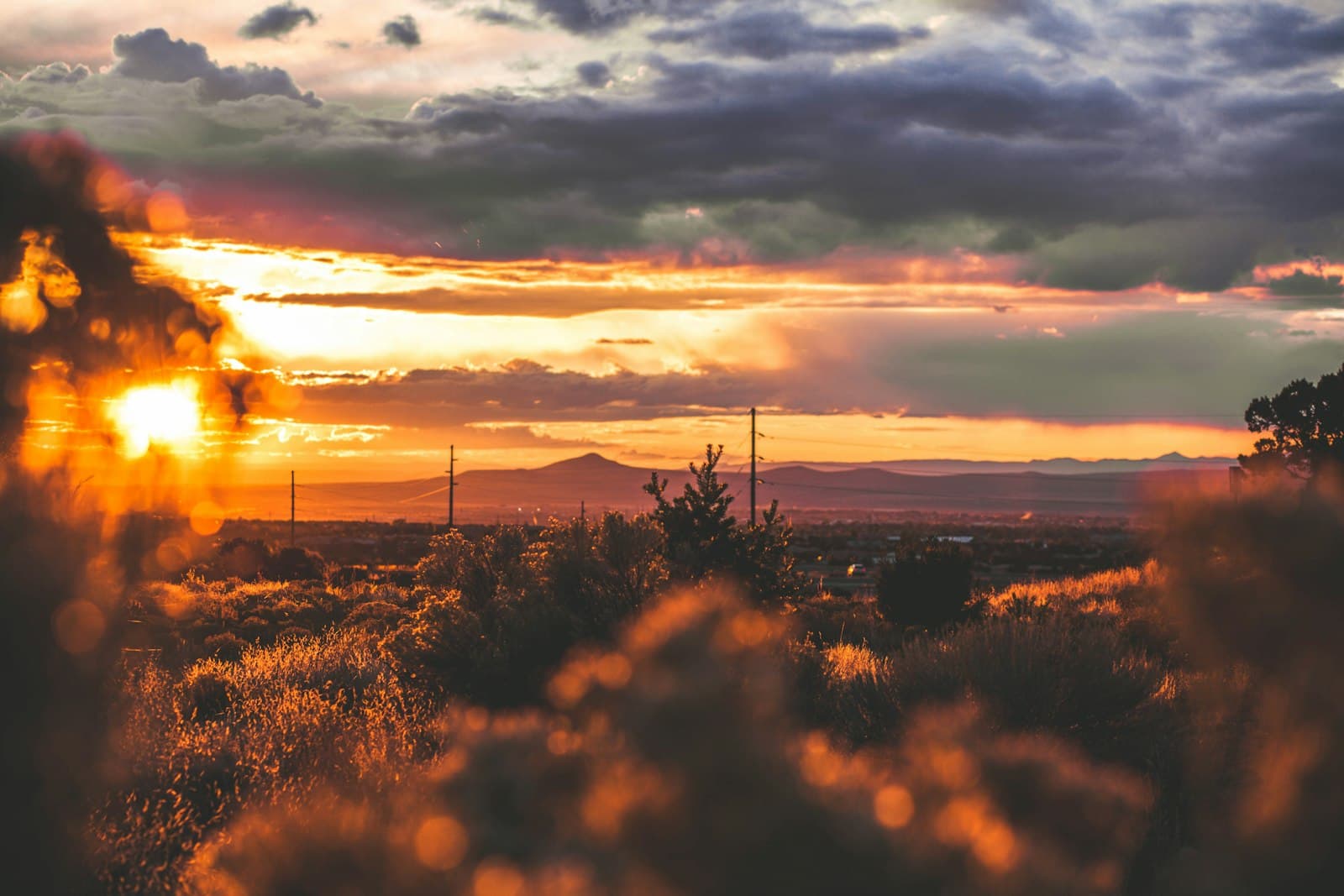 Santa Fe — trees under gray sky during golden hour