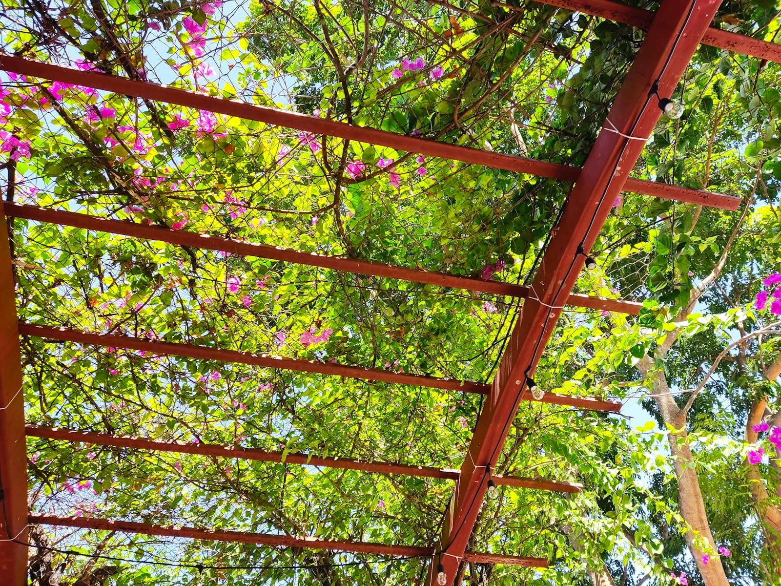 Santiago — a red metal structure with pink flowers on it