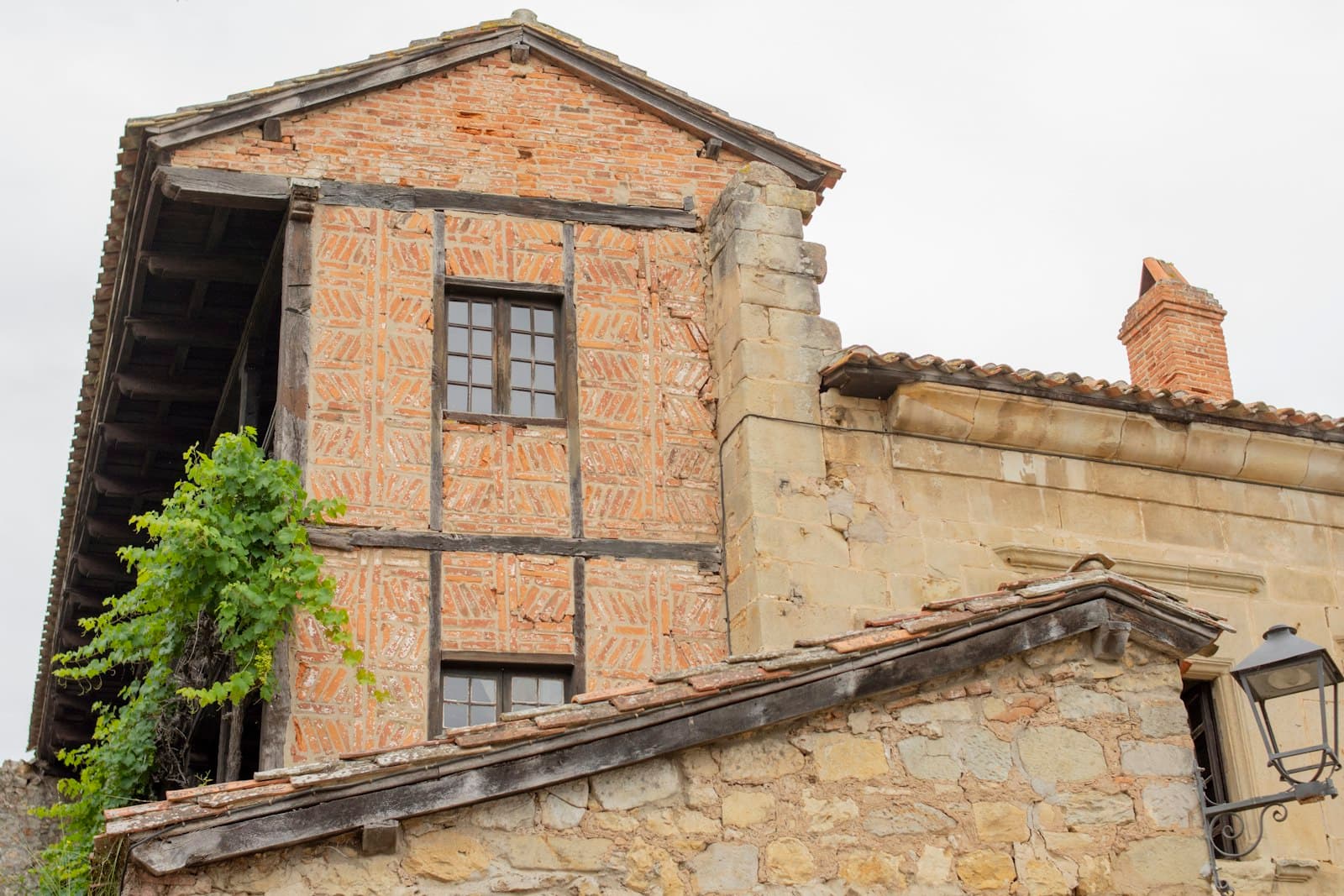 Santillana del Mar — a brick building with a tree growing out of it