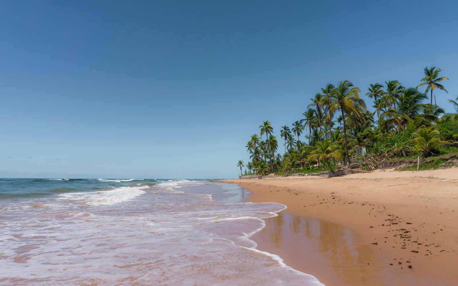 São Miguel dos Milagres — A sandy beach with palm trees in the background