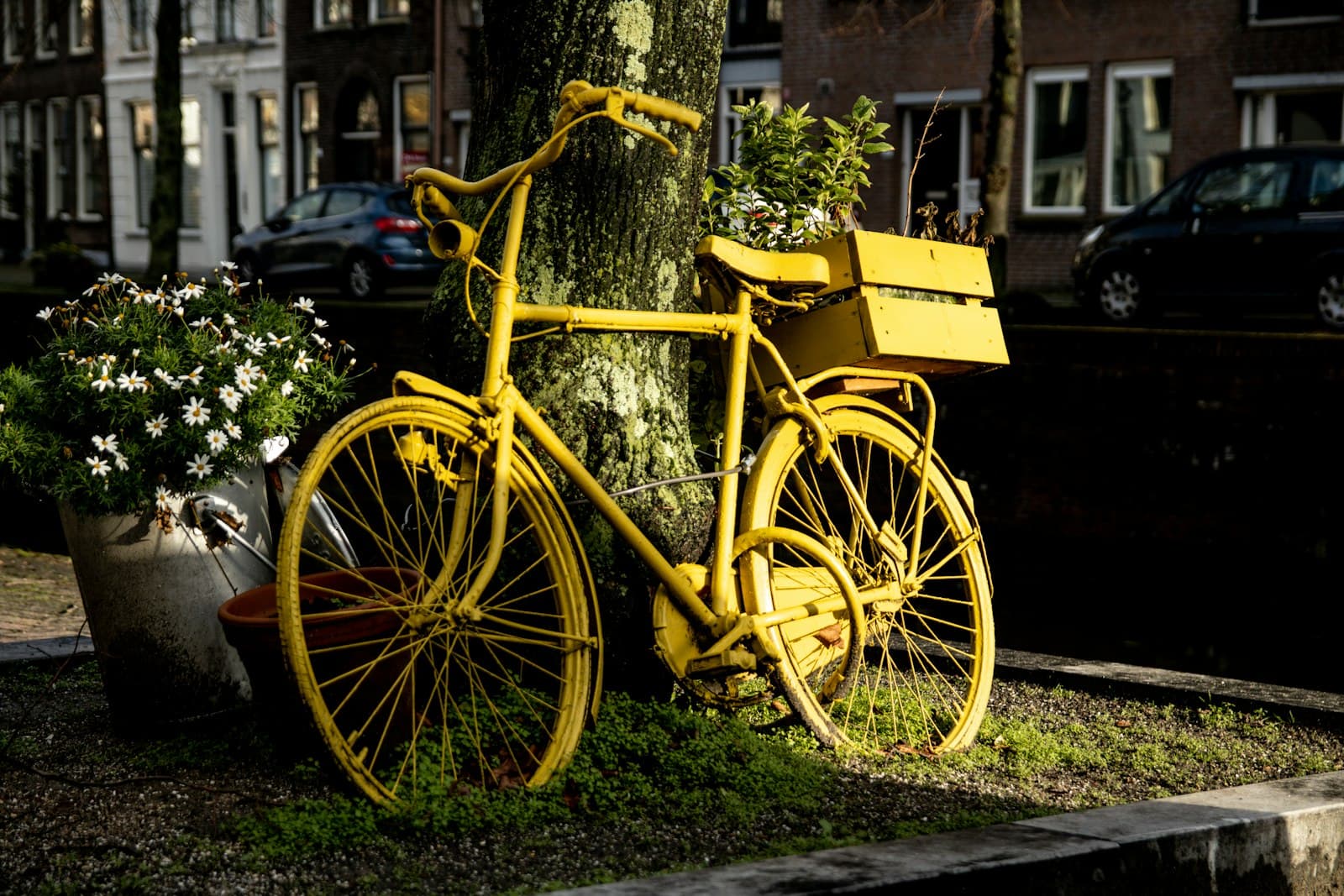Schiedam — a yellow bicycle with a large wheel