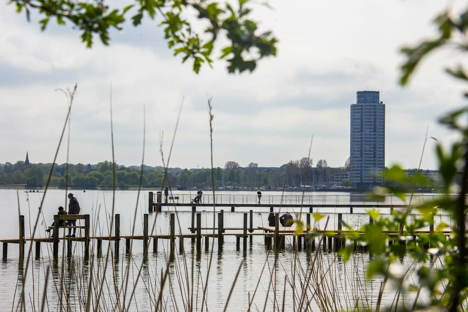 Schleswig — green plants on body of water near city buildings during daytime