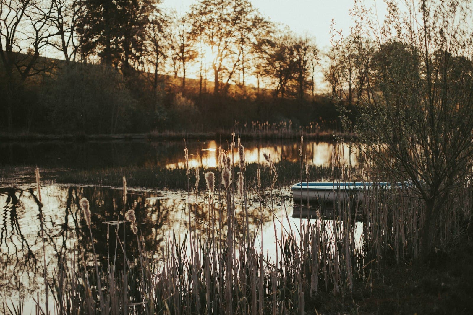 Schmallenberg — body of water near trees during daytime