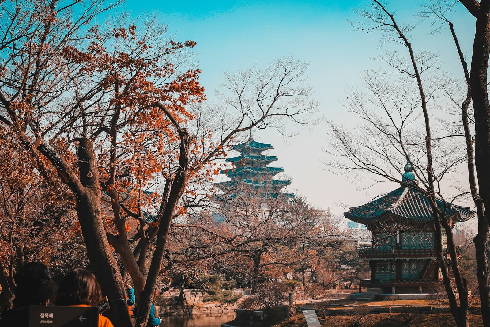 Seoul — brown bare trees under blue sky during daytime
