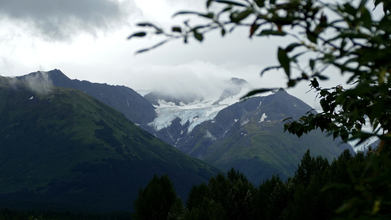 Seward — Misty mountains shrouded in clouds with foreground foliage