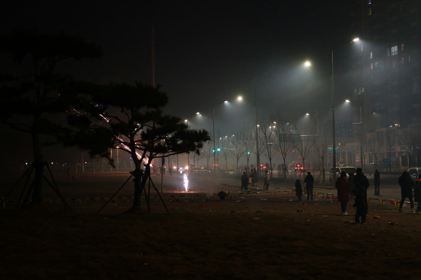 Shijiazhuang — a group of people standing on a field at night