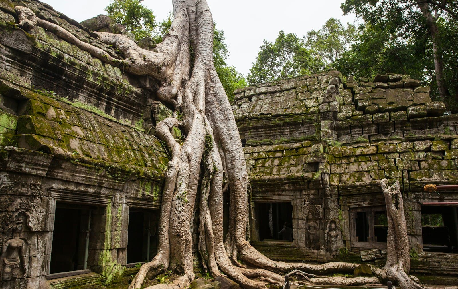 Siem Reap — concrete temple with tree root on top