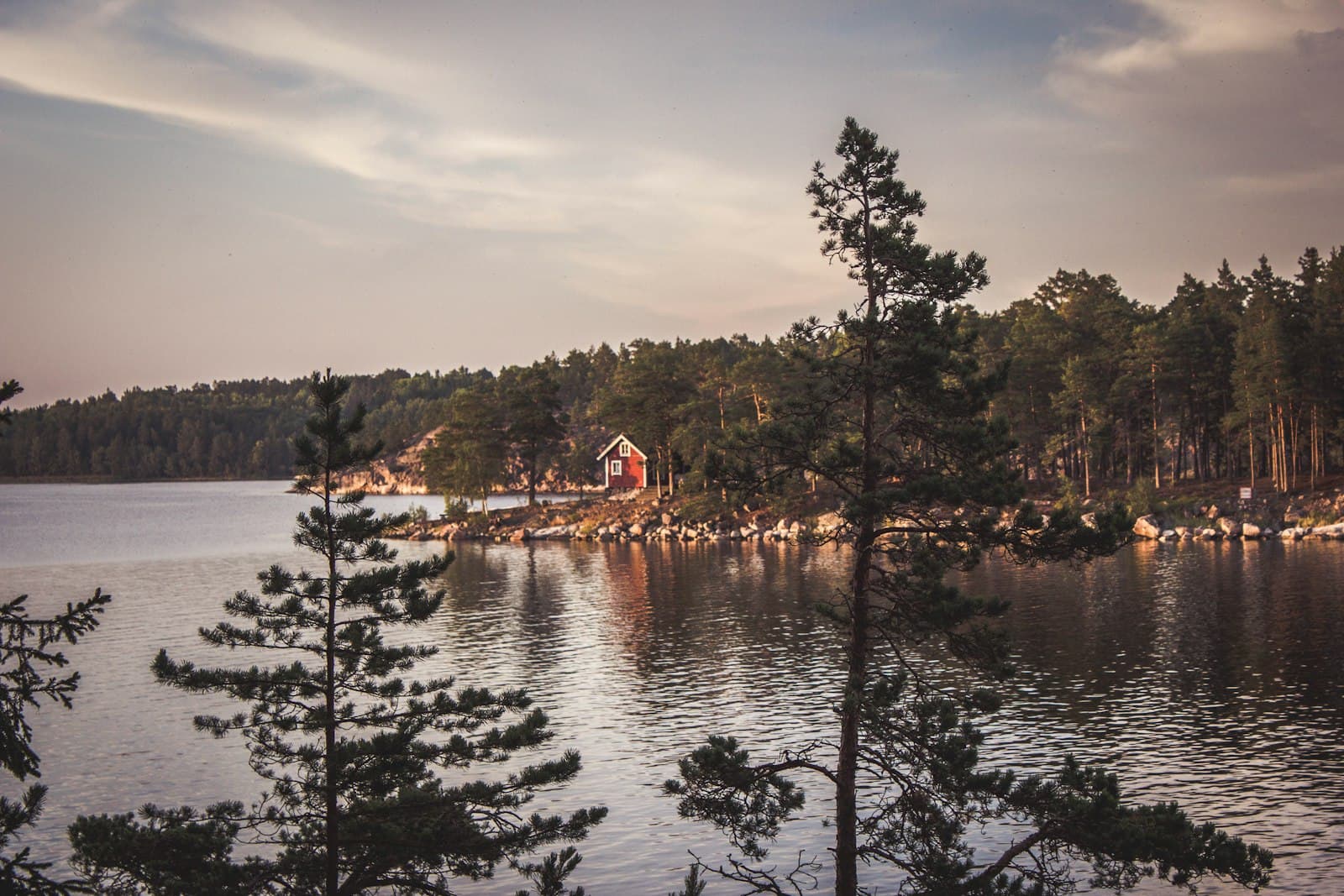 Skellefteå — landscape photograph of body of water near forest