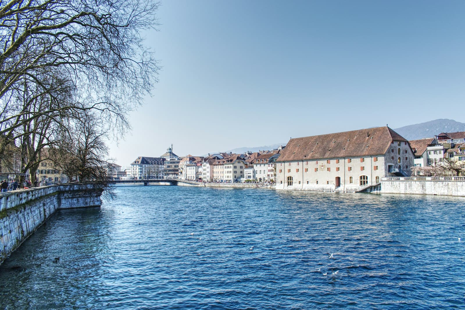 Solothurn — a river running through a city next to tall buildings