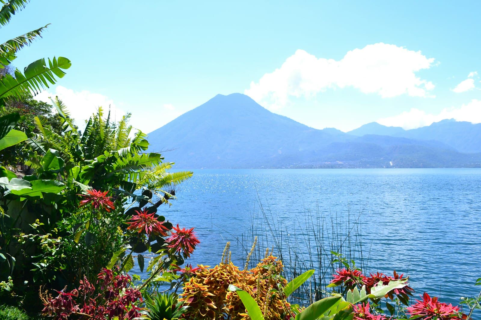 Sololá — a body of water surrounded by trees and plants