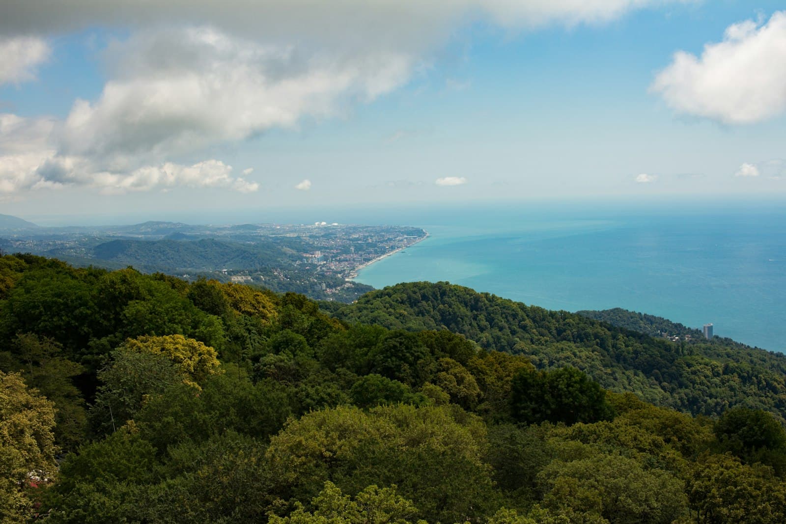 Sochi — green trees on mountain under white clouds and blue sky during daytime