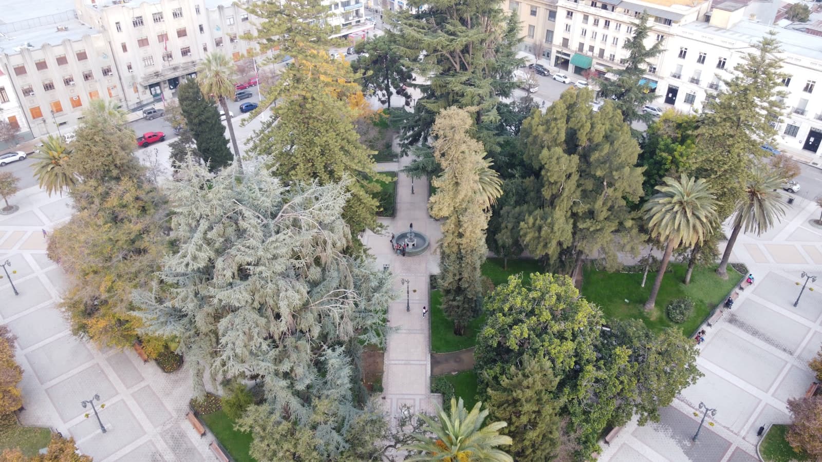 Talca — green trees near white concrete building during daytime