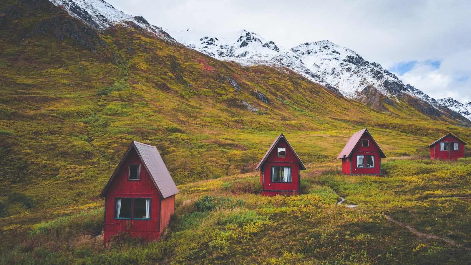 Talkeetna — a group of red cabins sitting on top of a lush green hillside