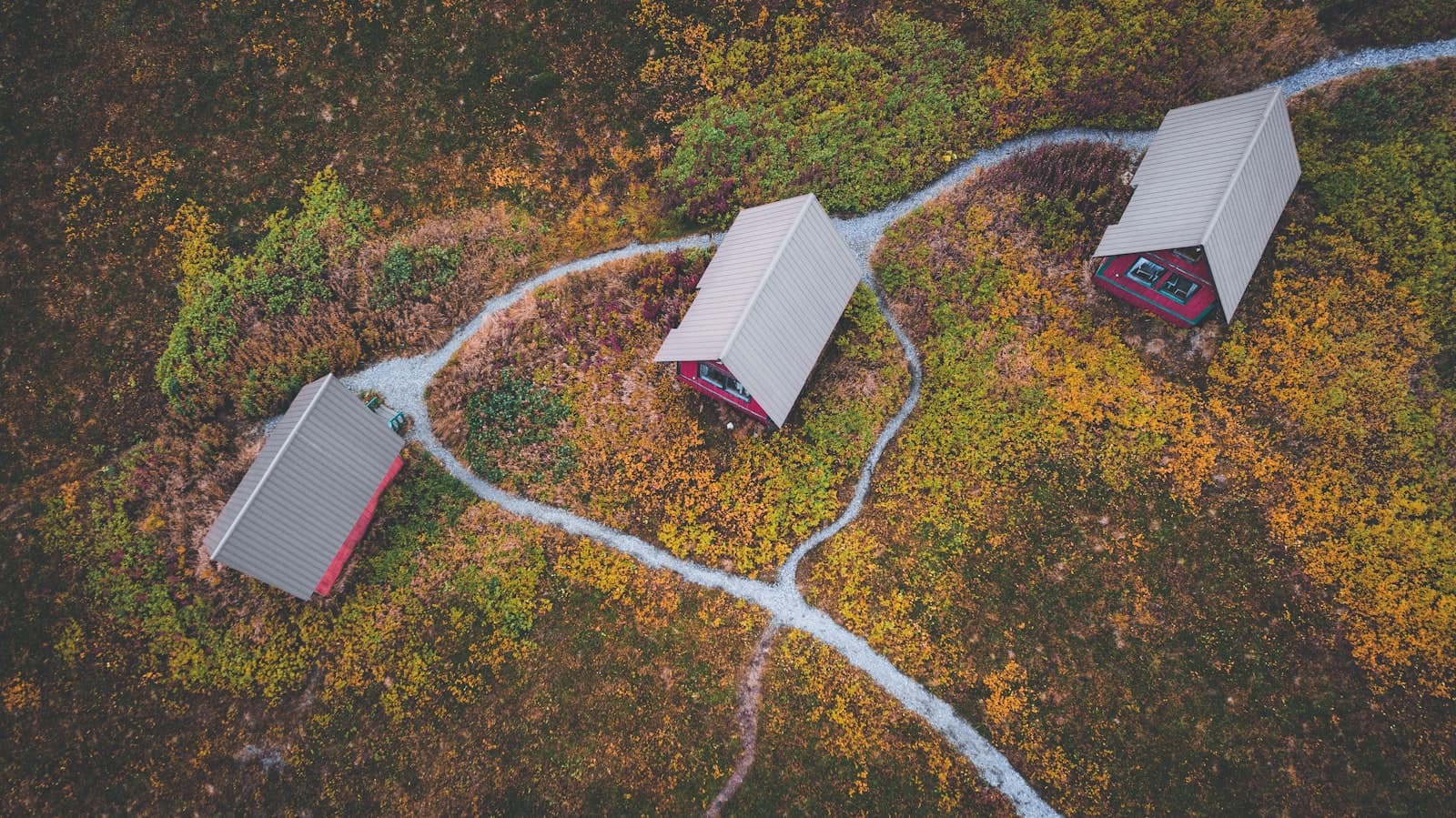 Talkeetna — a couple of red buildings sitting on top of a lush green field