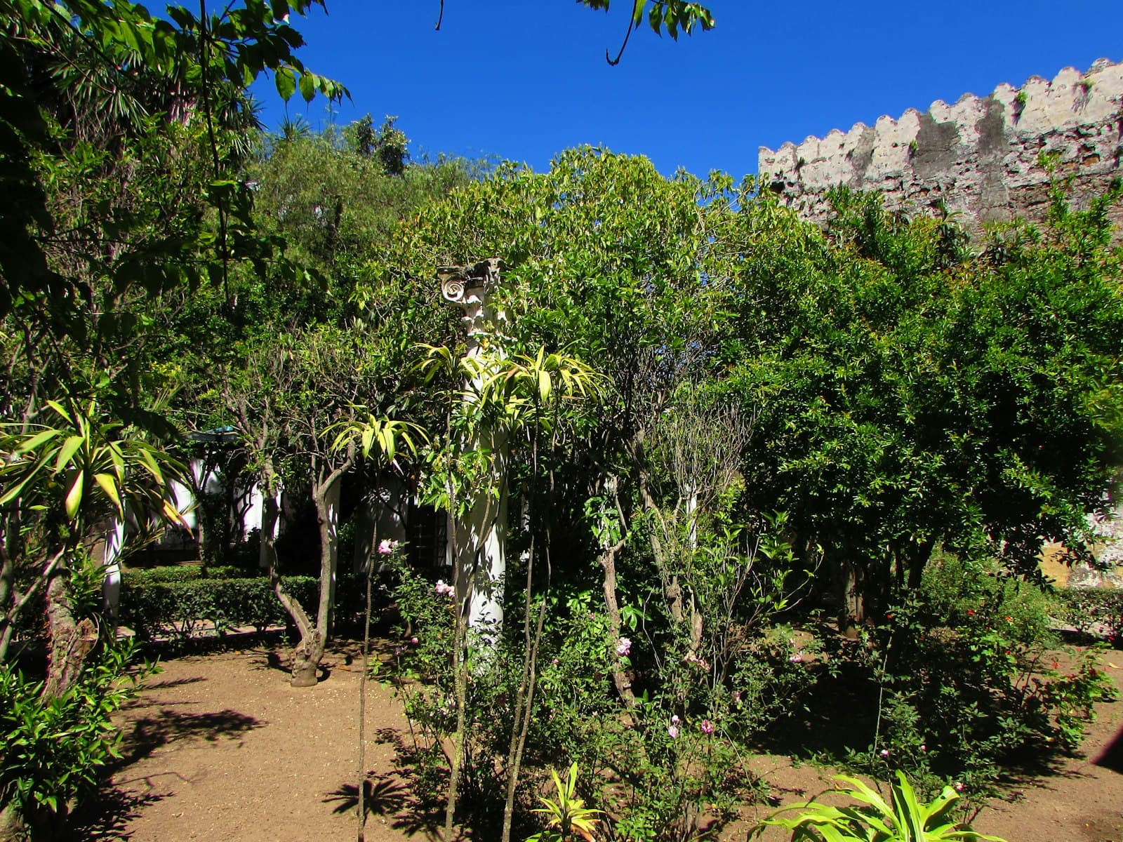 Tanger — a lush green forest filled with lots of trees