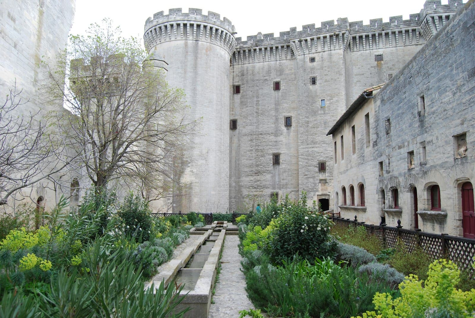 Tarascon — a castle like building with a garden in front of it