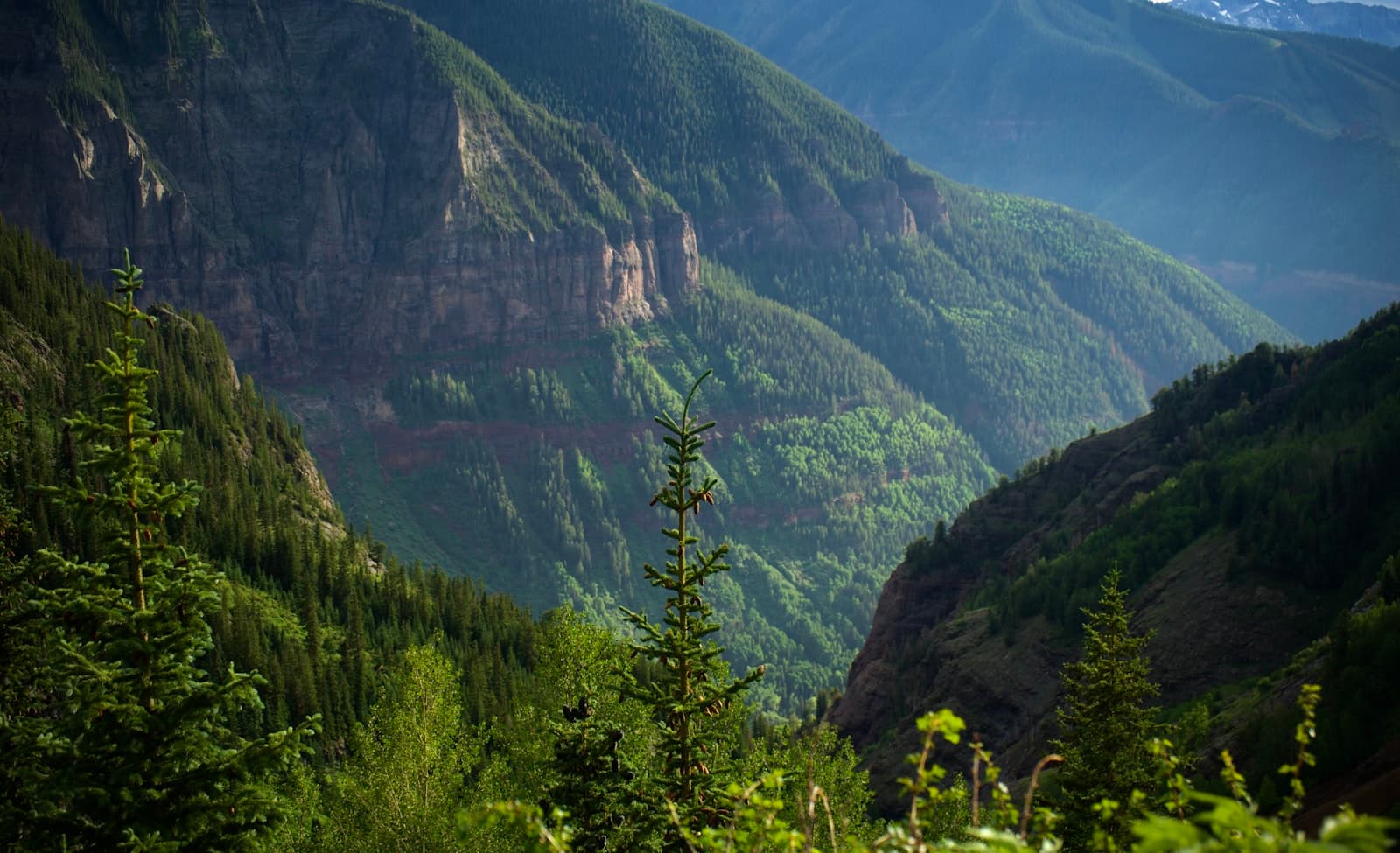 Telluride — green trees on mountain during daytime