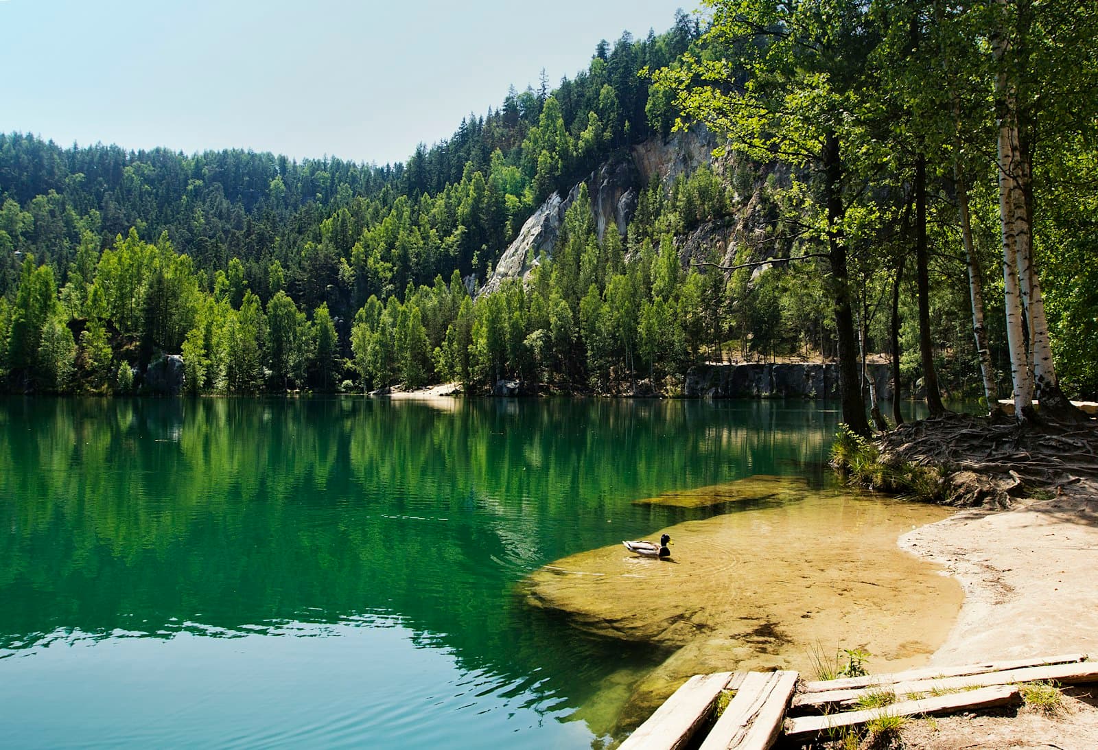 Teplice — A body of water surrounded by a forest