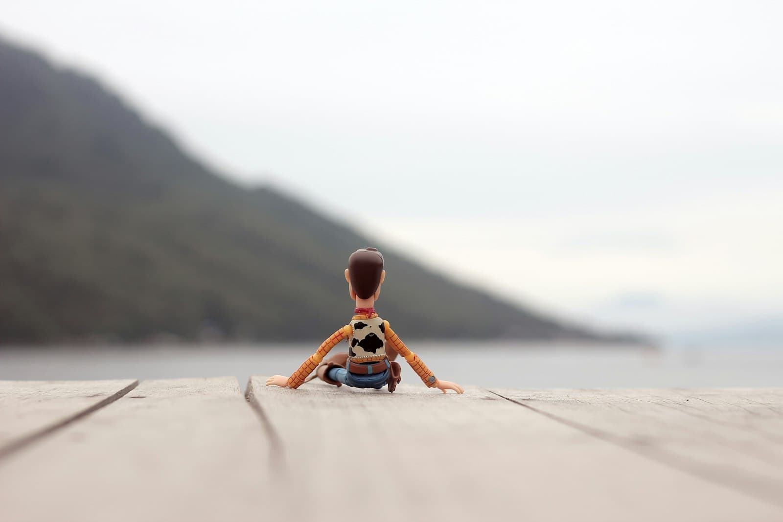 Ternate — shallow focus photography of Hoody toy