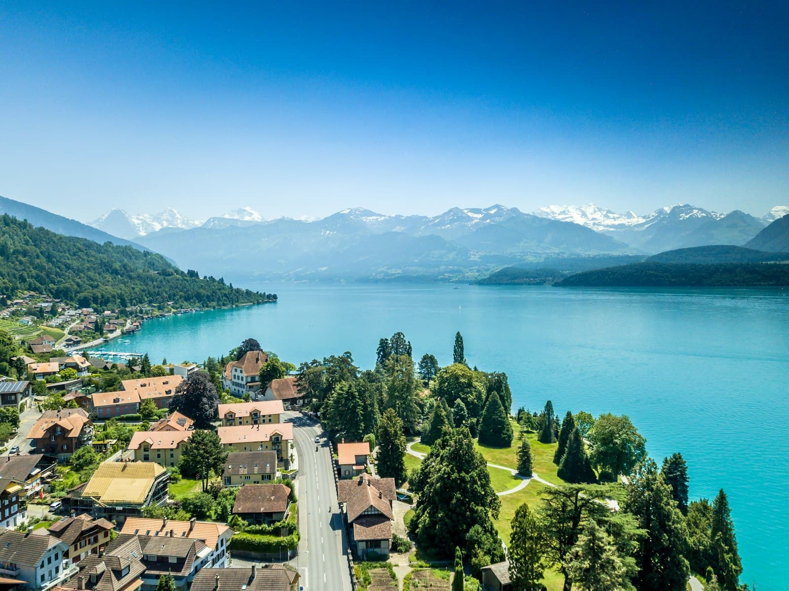 Thun — green trees near body of water during daytime