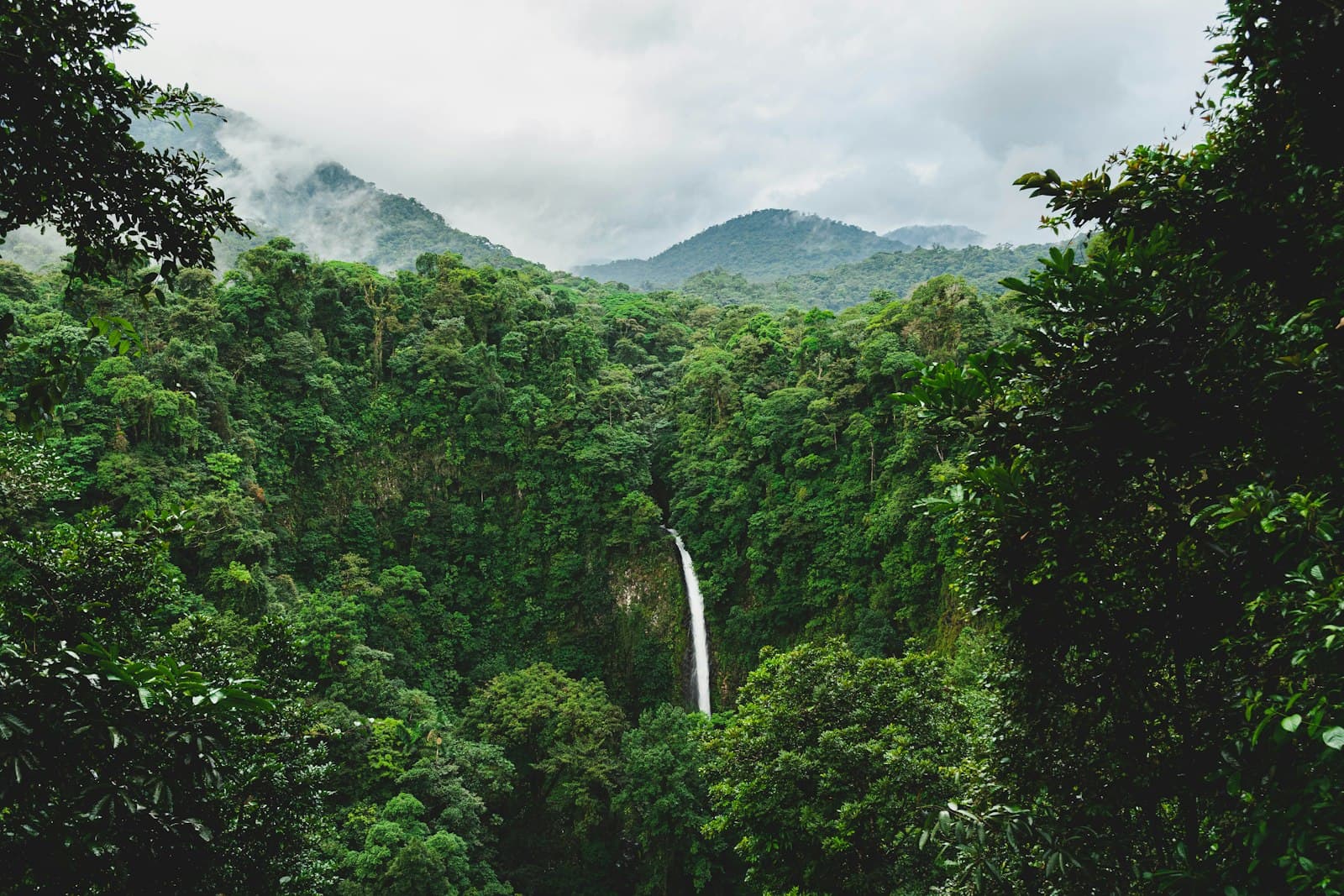 Tilarán — green trees on mountain under white clouds during daytime