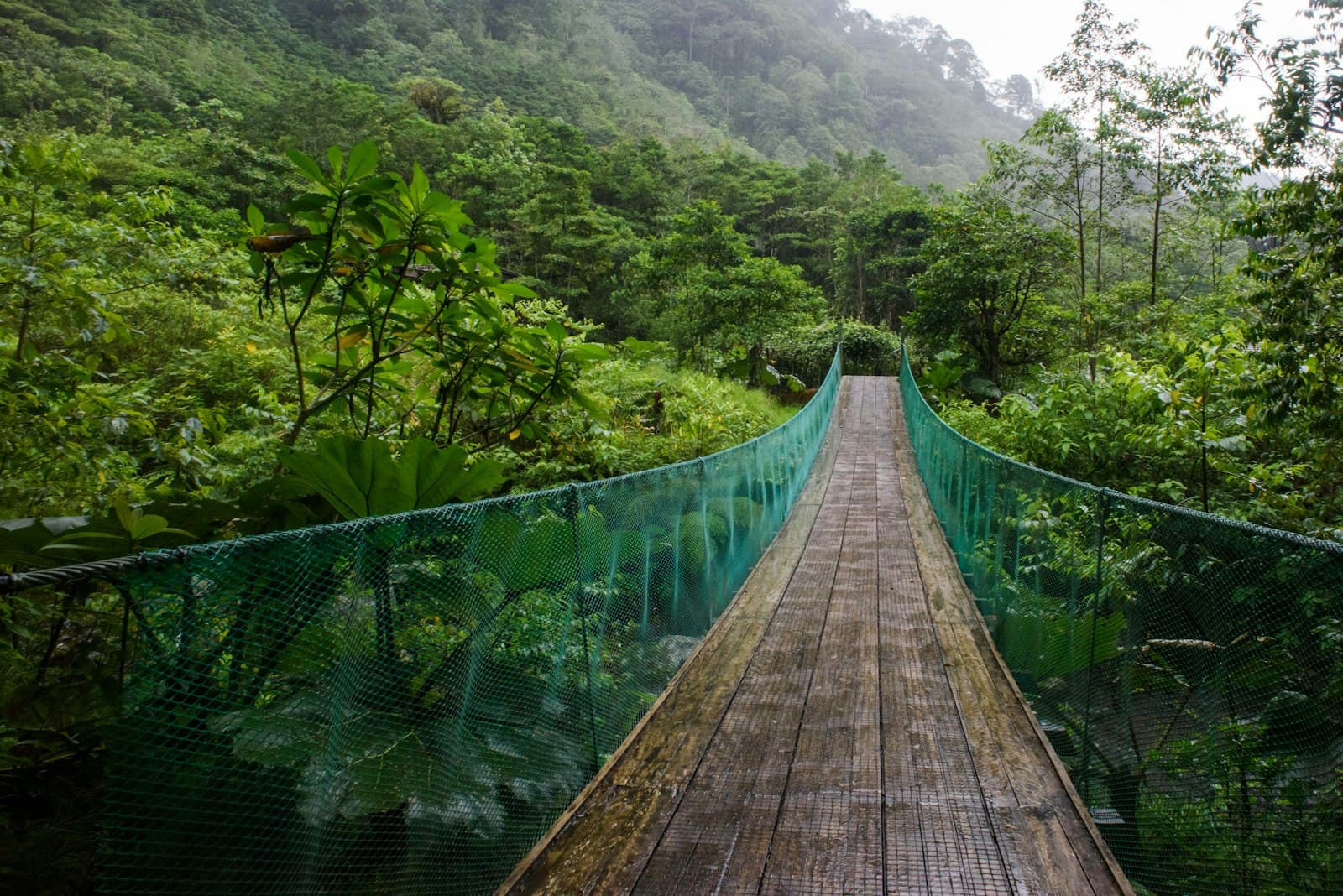 Tilarán — brown wooden bridge over green mountains during daytime