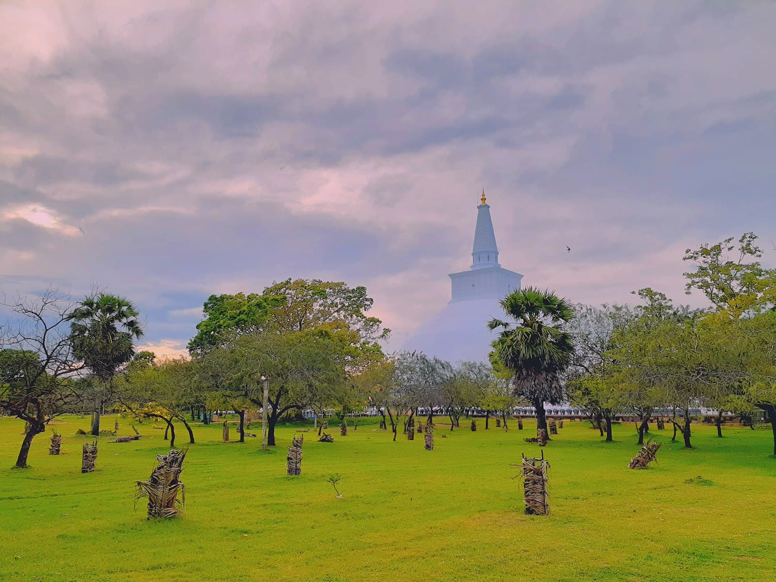 Tissamaharama — green grass field with trees under white clouds during daytime