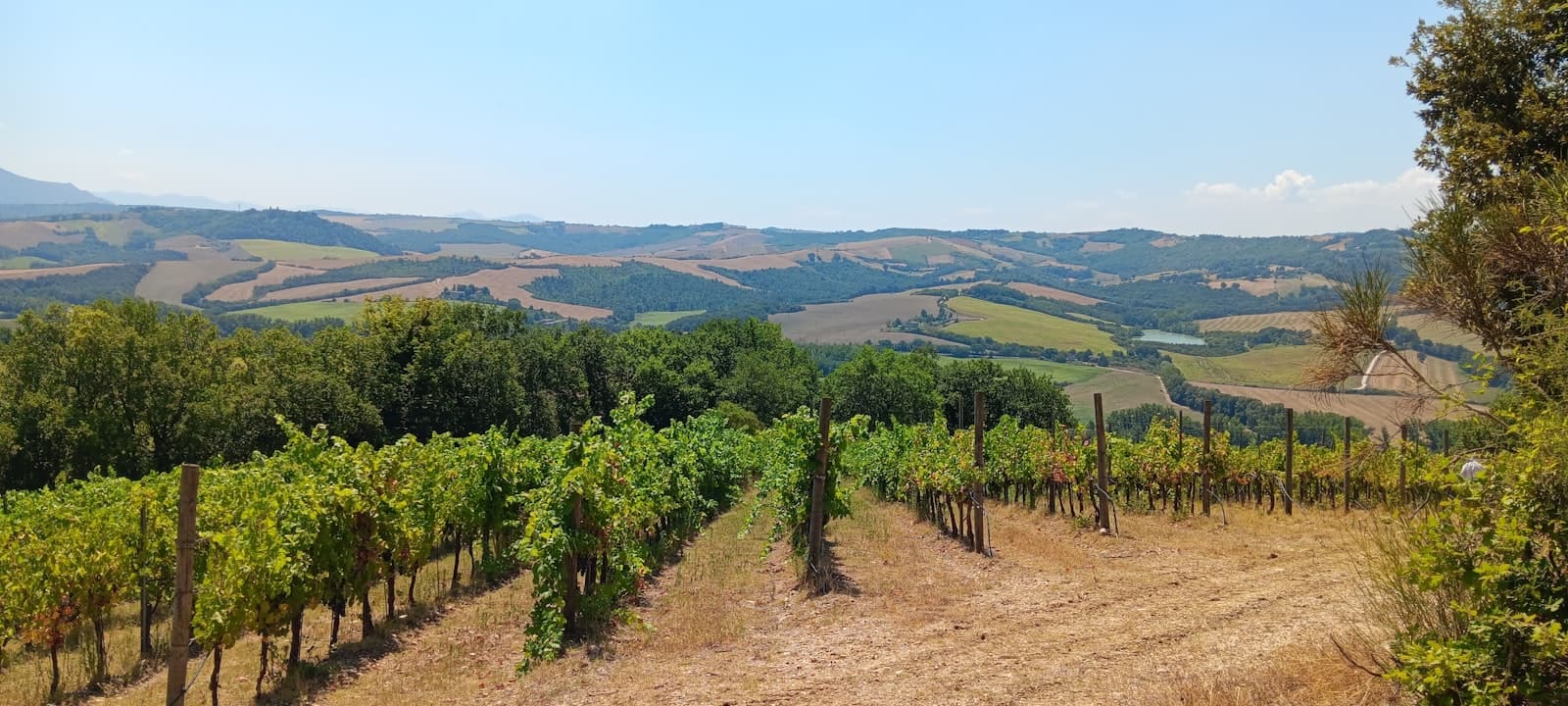 Todi — A dirt road surrounded by trees and hills