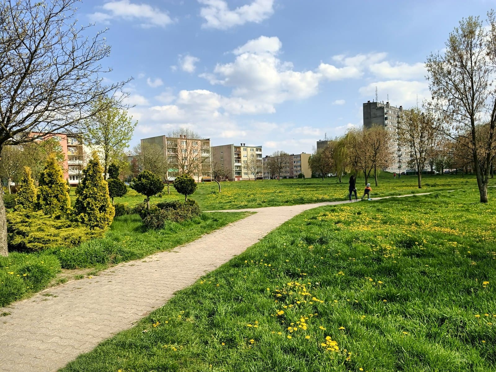 Tomaszów Mazowiecki — a path in a park with buildings in the background