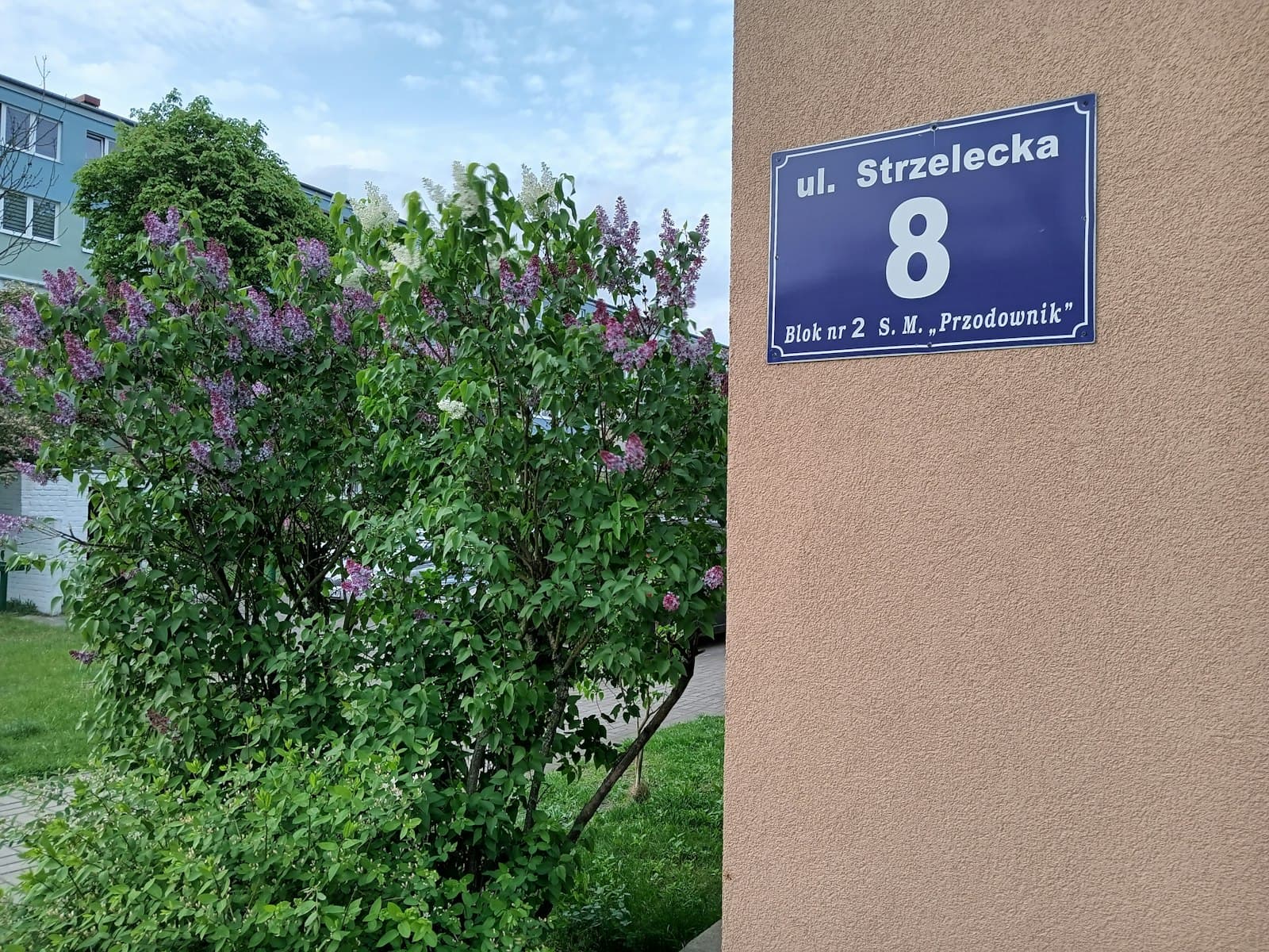 Tomaszów Mazowiecki — a street sign on the side of a building