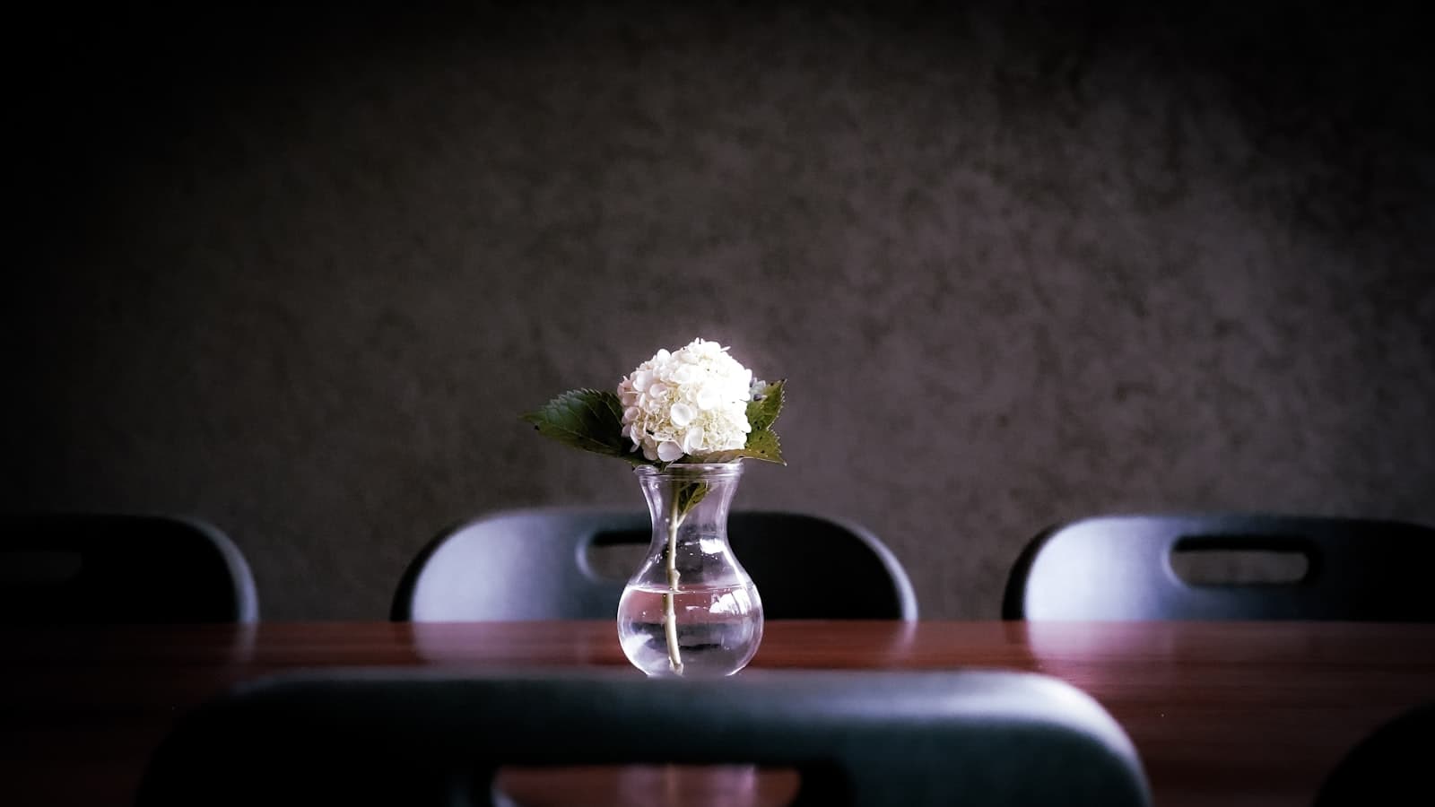 Tomohon — A flower in a vase on a conference table.