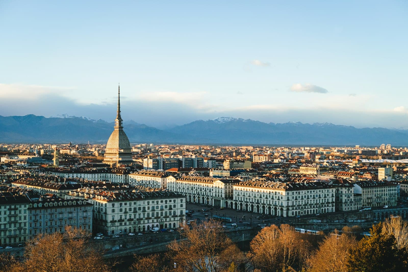 Torino — aerial view of city buildings during daytime