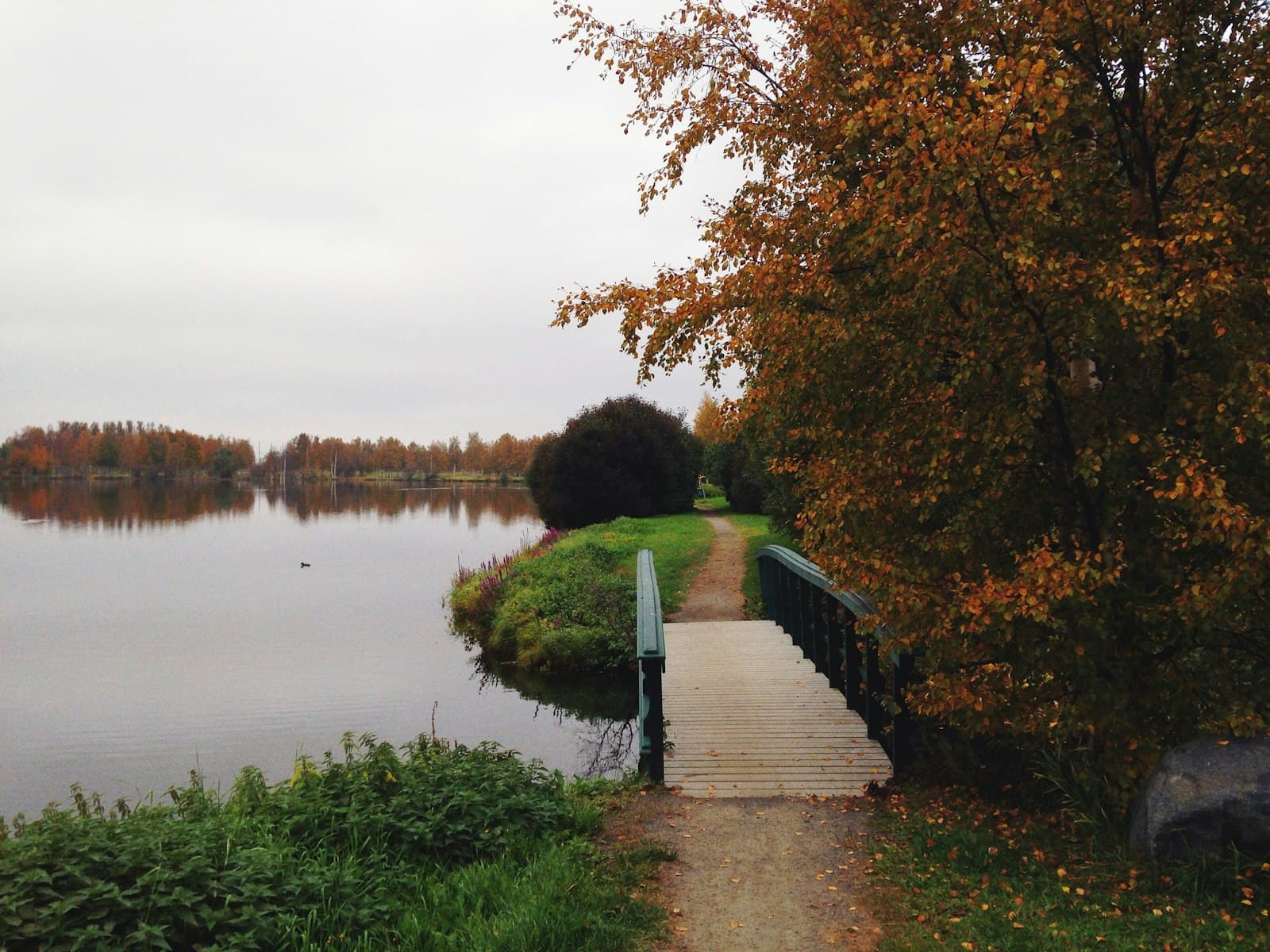 Tornio — green trees beside river under white sky during daytime