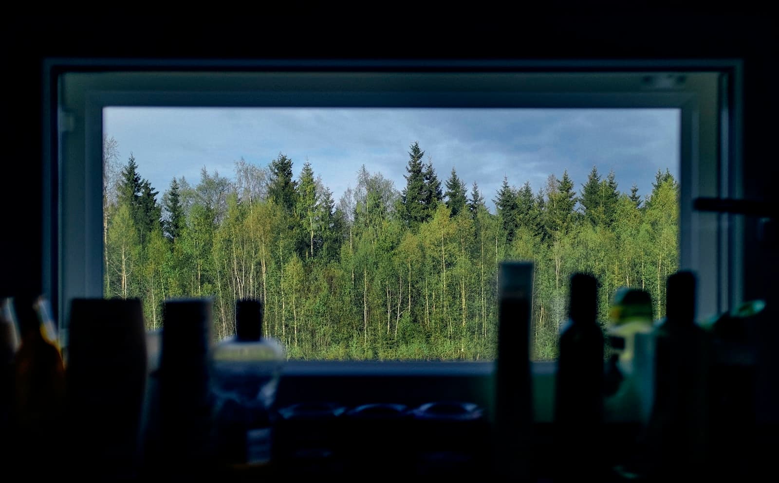 Tornio — green leafed trees