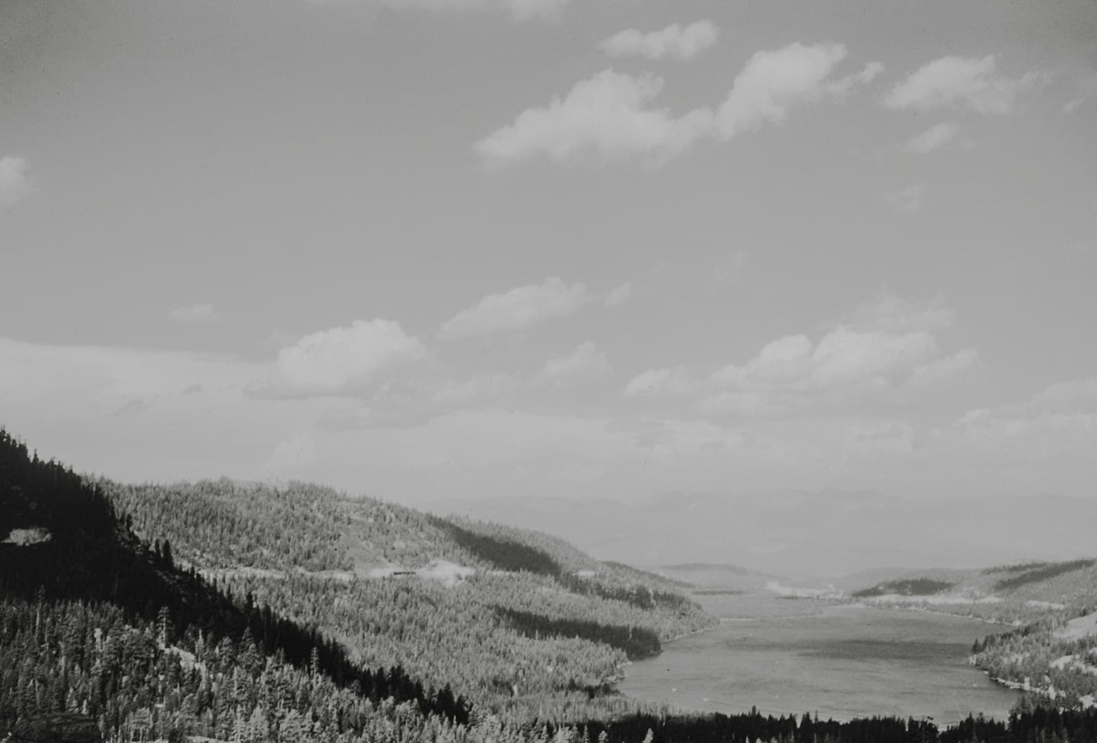 Truckee — a black and white photo of a lake surrounded by trees