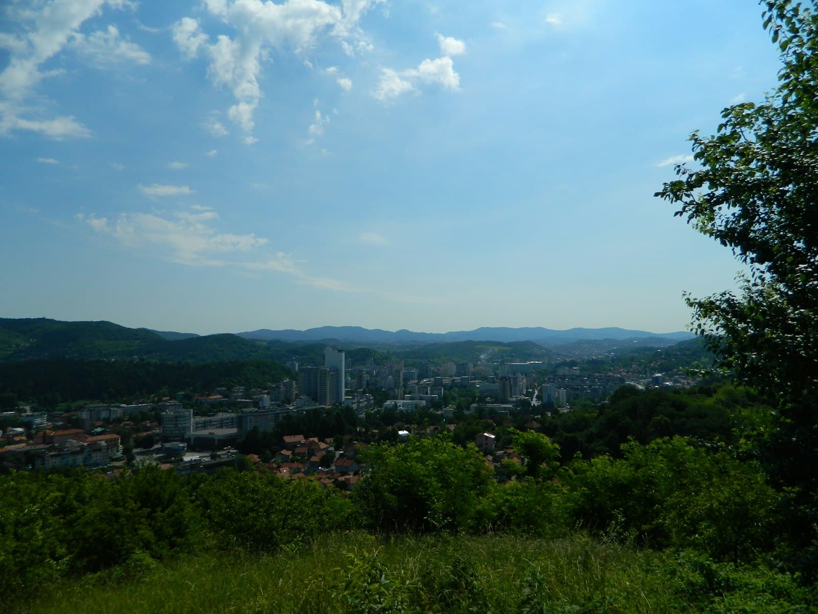 Tuzla — green trees and city buildings under blue sky and white clouds during daytime