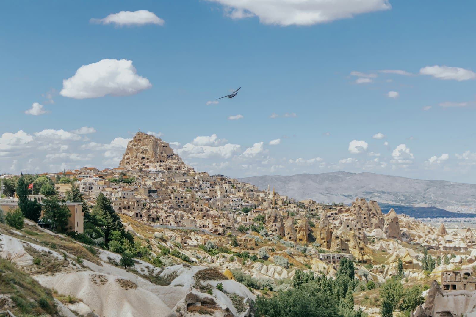 Uçhisar — a bird flying over a rocky landscape with a mountain in the background