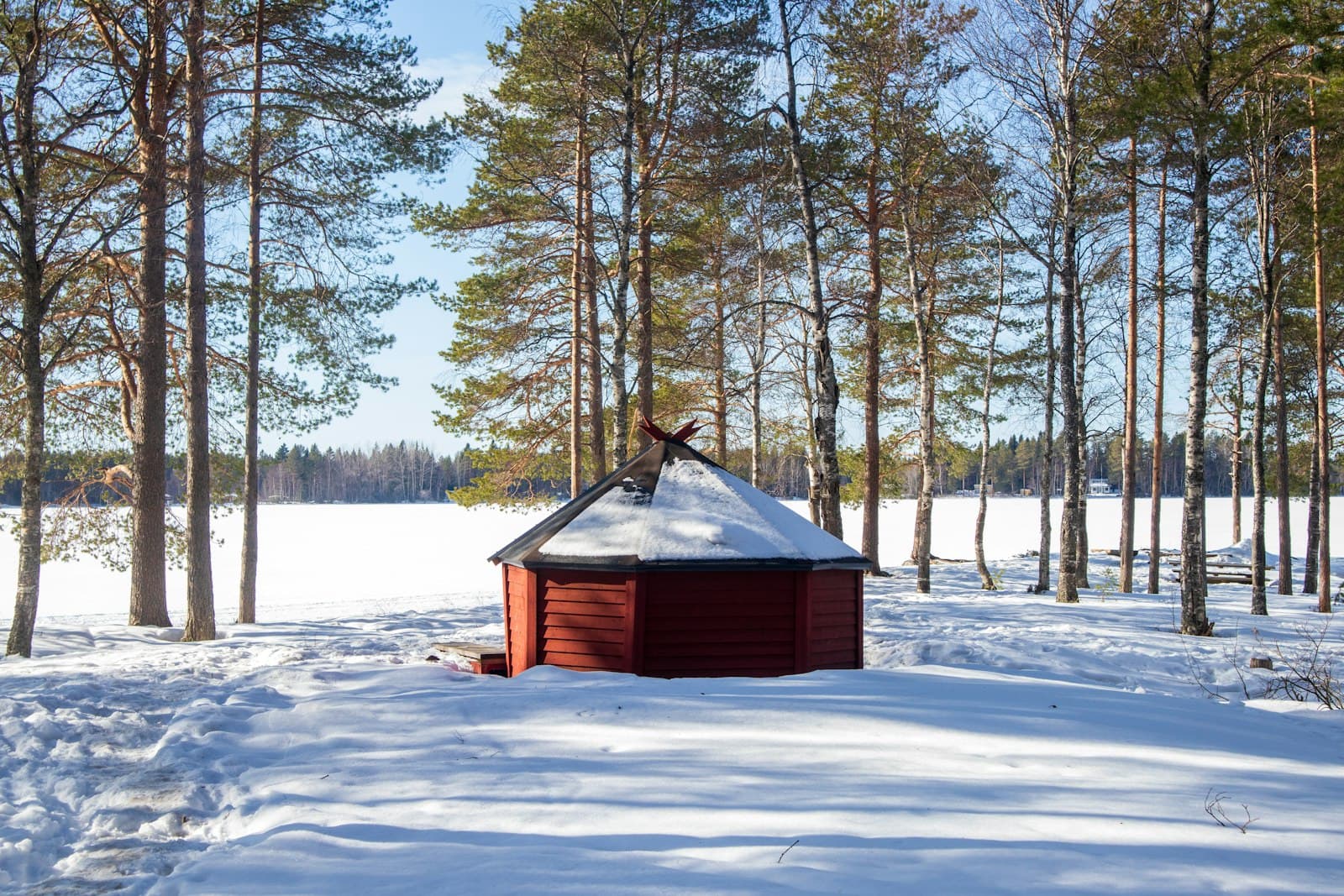 Umeå — brown wooden house on snow covered ground during daytime