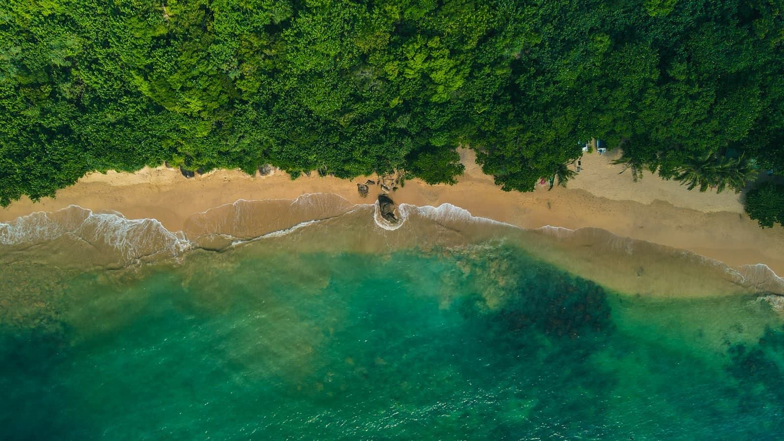 Unawatuna — an aerial view of a beach and trees