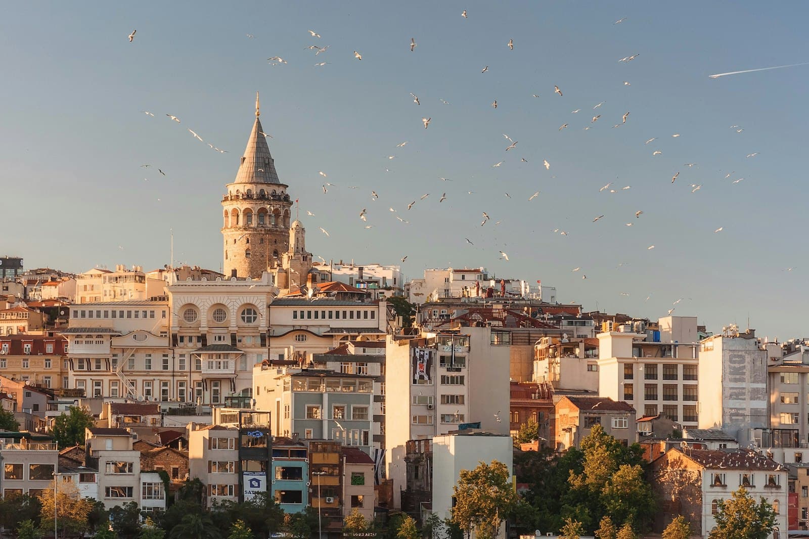 Ürgüp — aerial view of buildings and flying birds