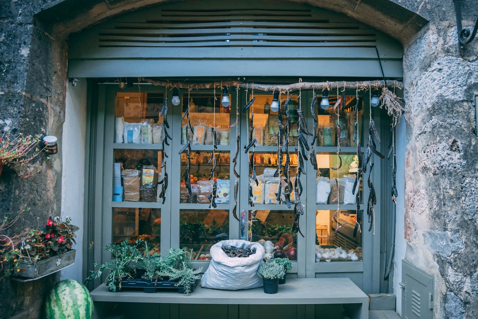 Valldemossa — green potted plant on white wooden shelf