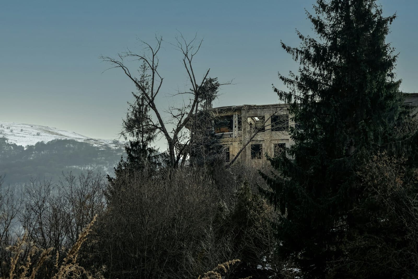 Vanadzor — brown bare tree near brown concrete building during daytime