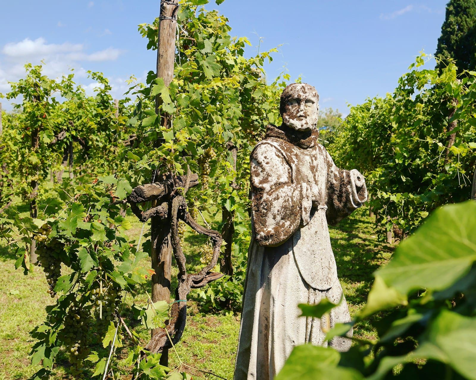 Venice/Torcello — man in robe statue near green plants during daytime