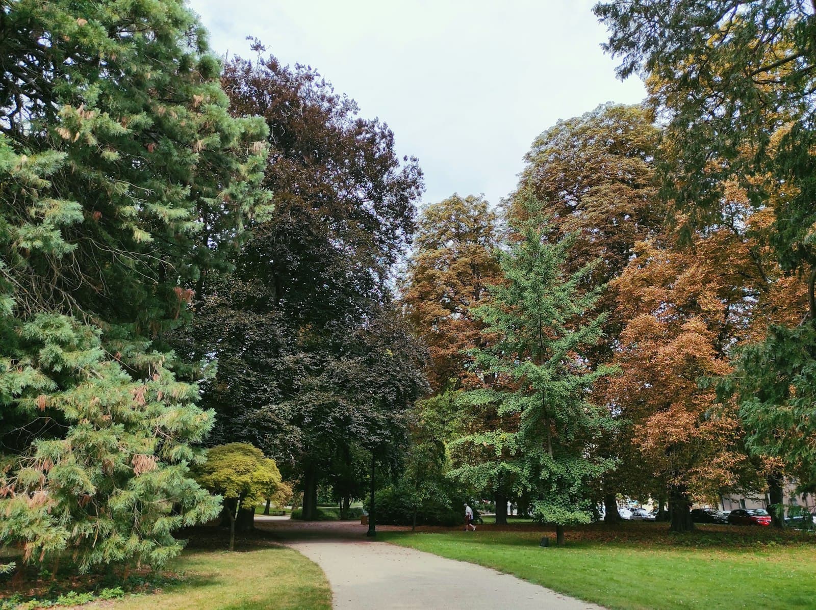 Vichy — a path with trees on either side