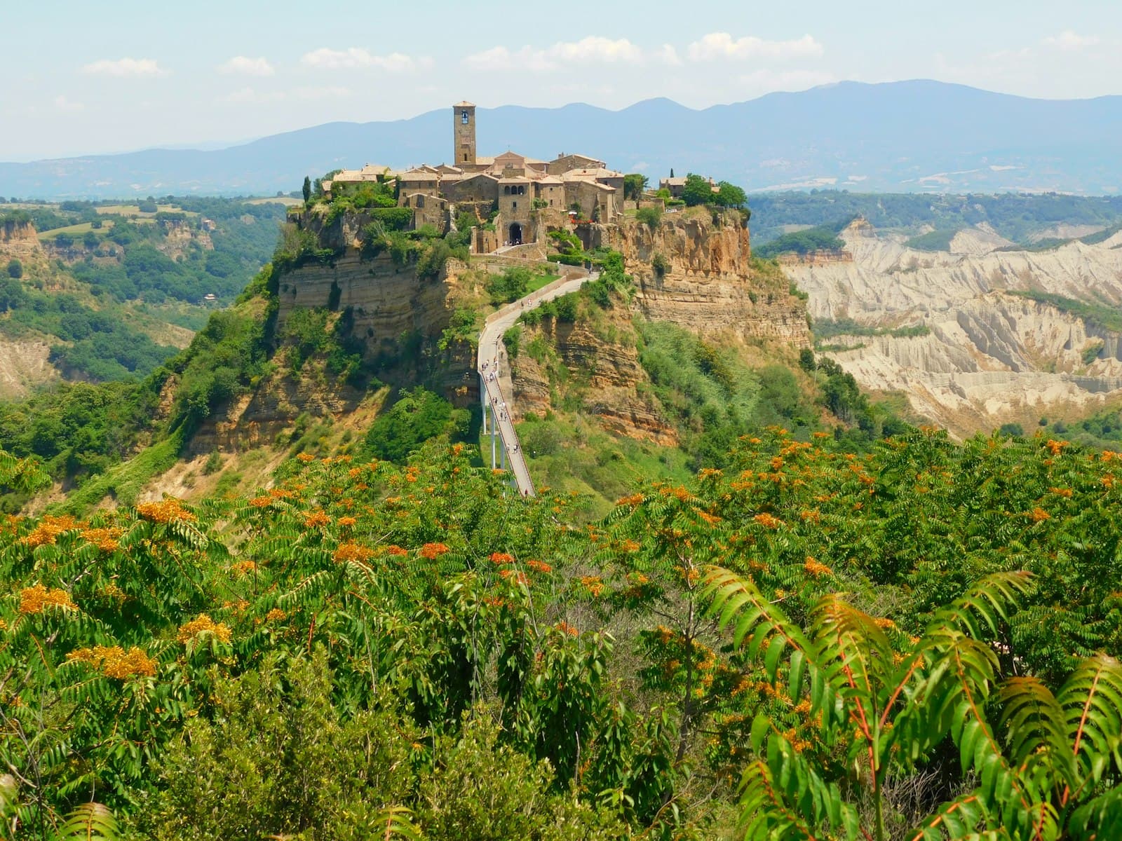 Viterbo — green trees on mountain during daytime