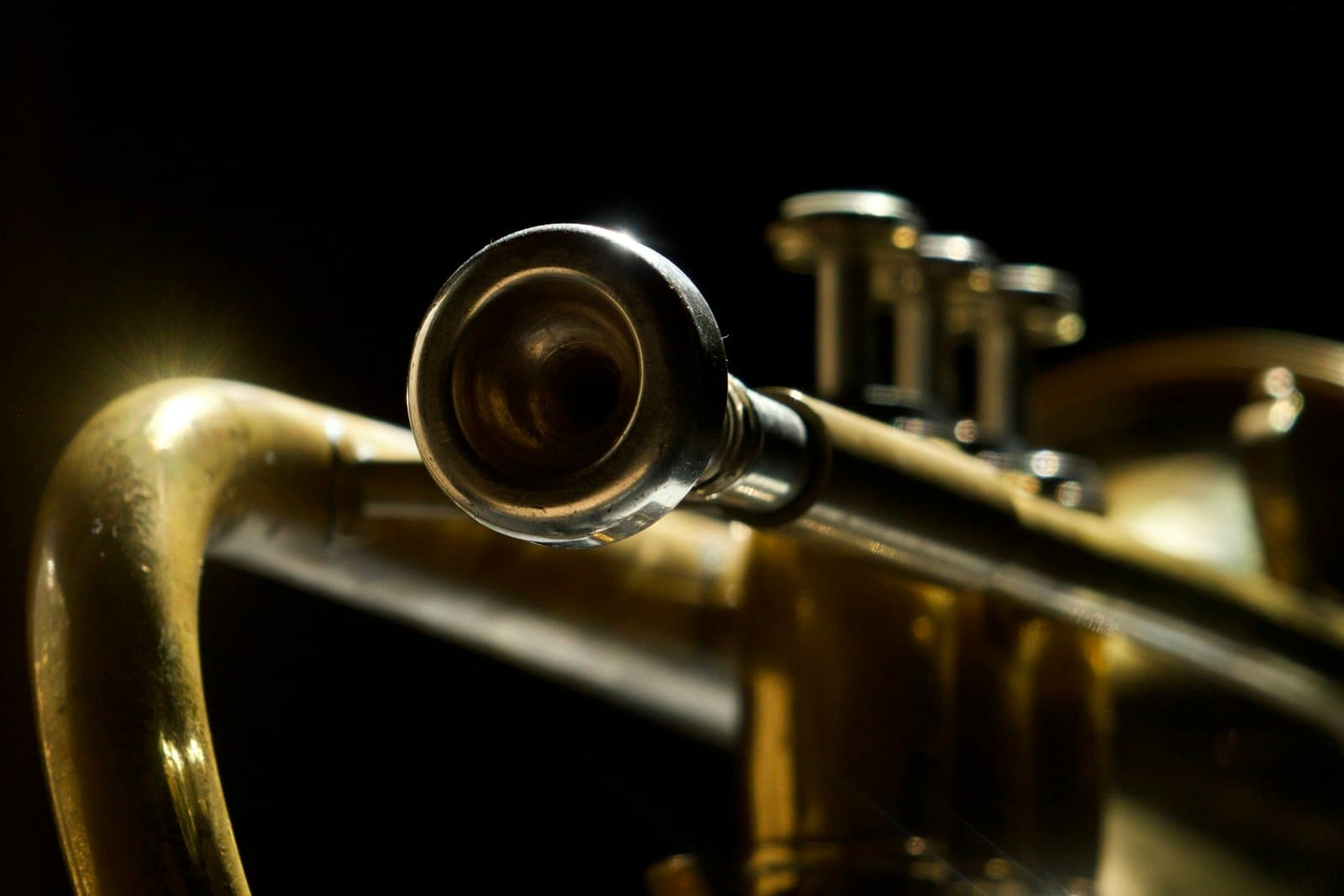 Waco — brass trumpet in close up photography