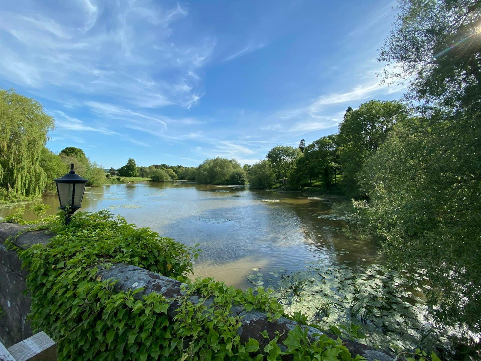 Warwick — green trees beside river under blue sky during daytime